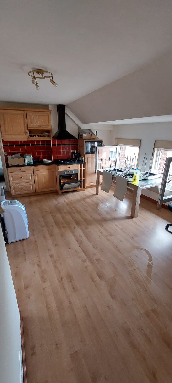 Intervention de débarras syndrome de Diogène — logement encombré avec professionnel en combinaison